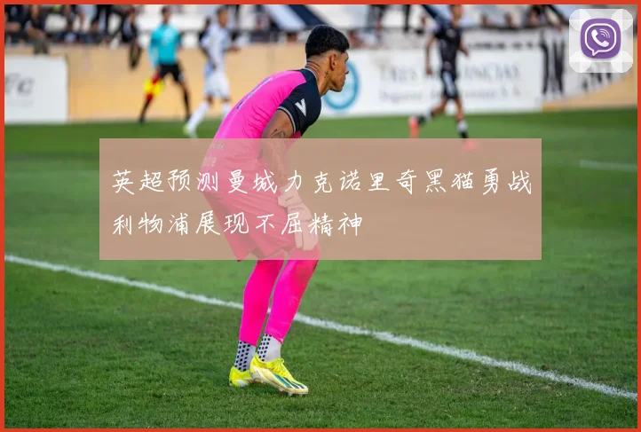 英超预测曼城力克诺里奇黑猫勇战利物浦展现不屈精神