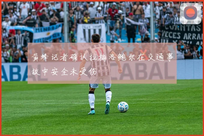 黄蜂记者确认拉梅洛鲍尔在交通事故中安全未受伤