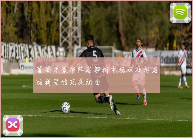葡萄牙豪华阵容解析中场双核与后防新星的完美组合